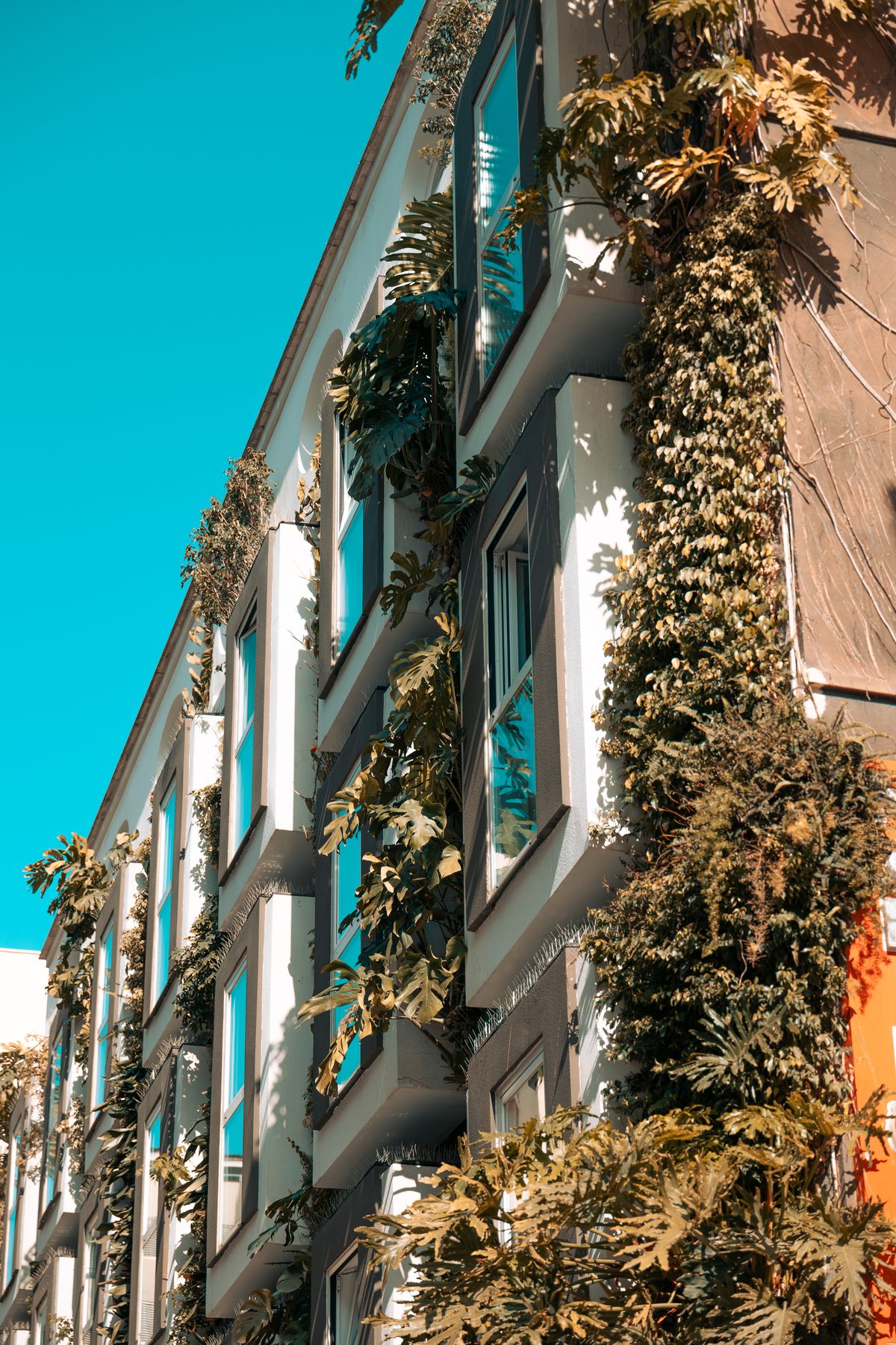 Malaga 2