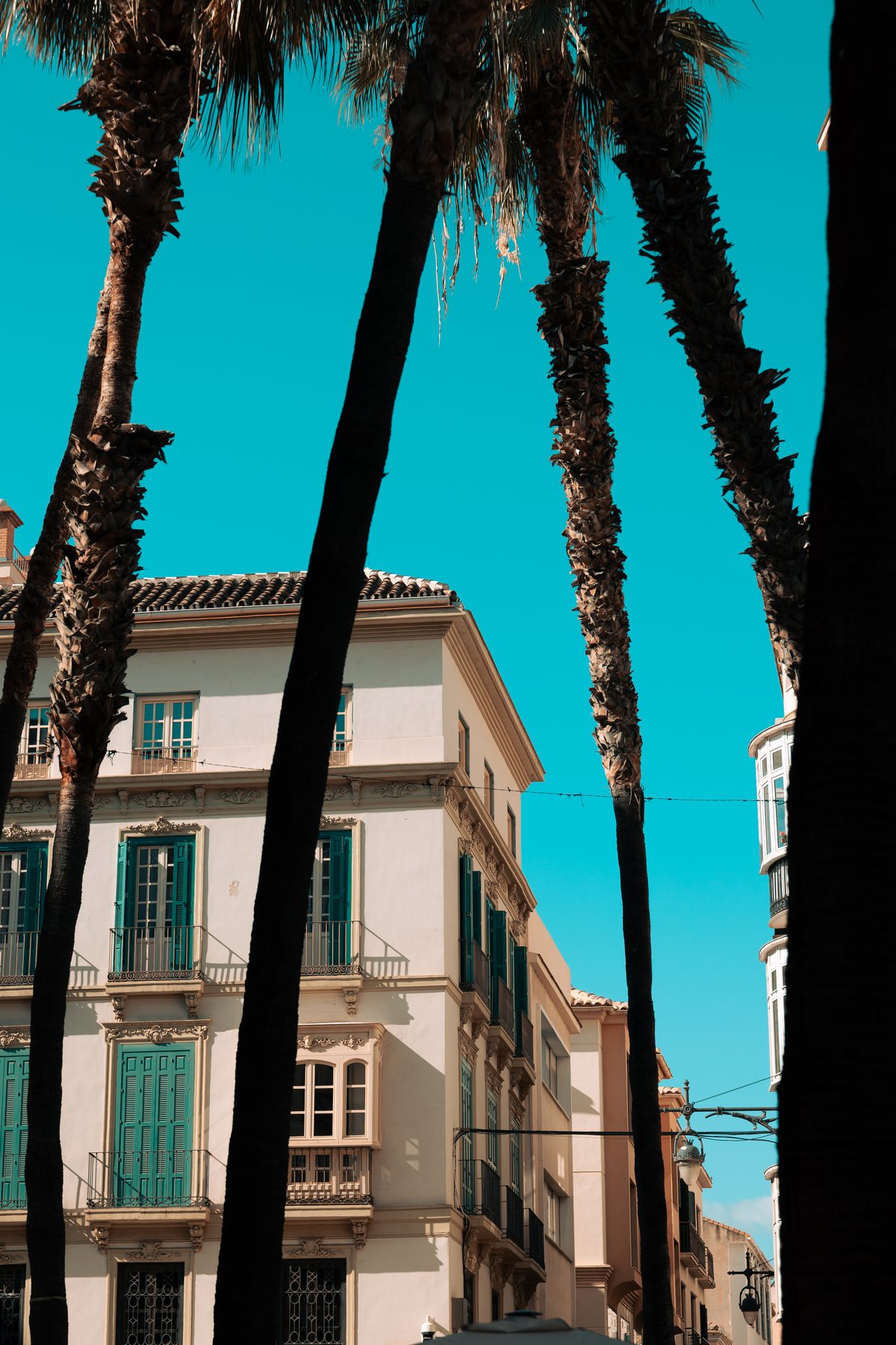 Malaga 5